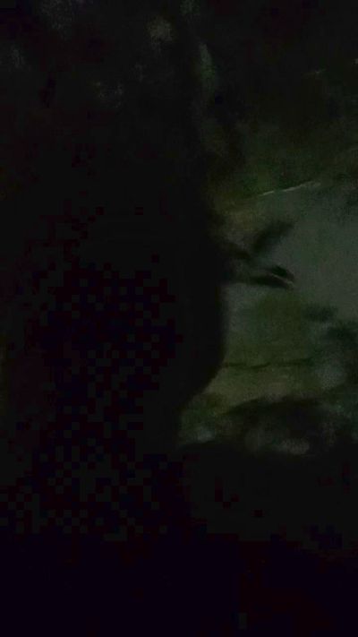 Asasass's Profile