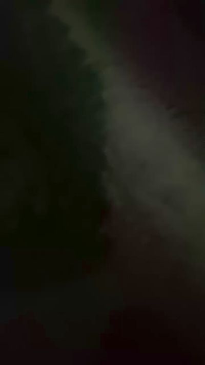 CarolAlvessss's Profile