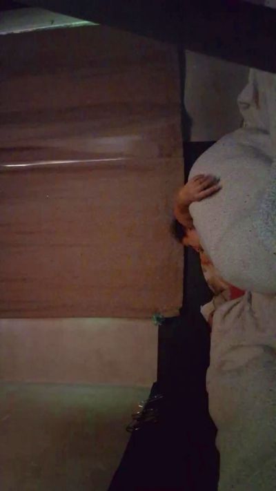 Casalexibidos's Profile