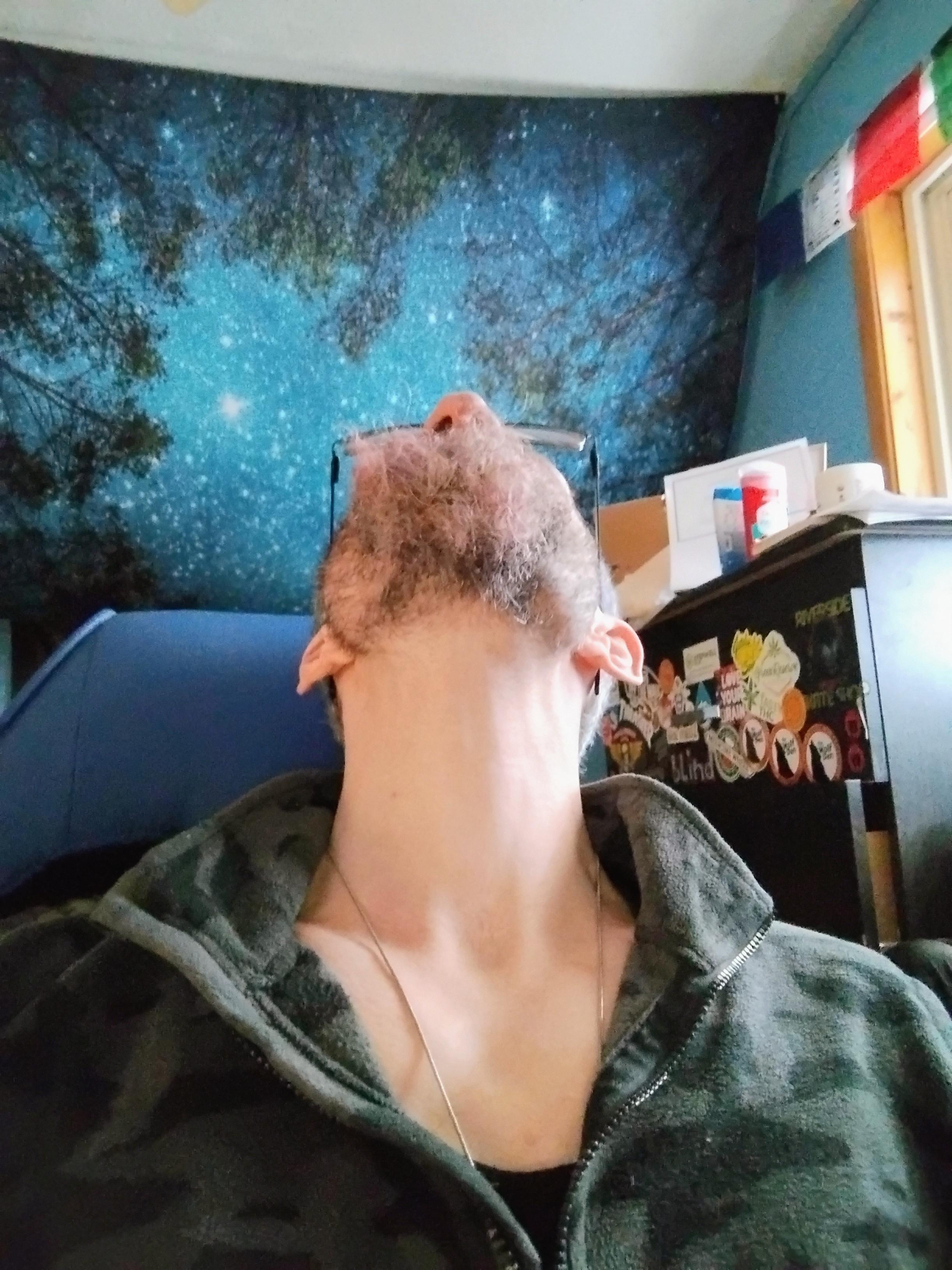 Dreamcometru33's Profile