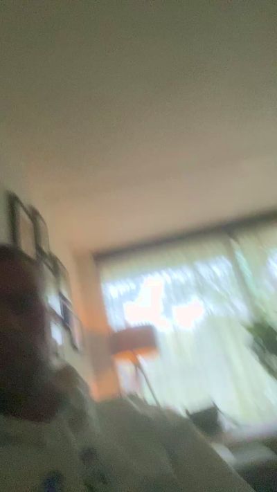 DutchTatBoy's Profile