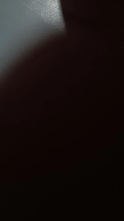 Elgorilon's Profile