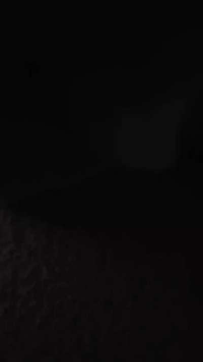 Leonayleon's Profile