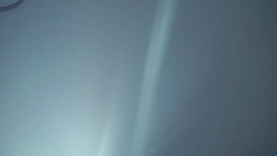 LynneBraund's Profile