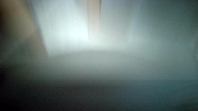 Pedro170992's Profile