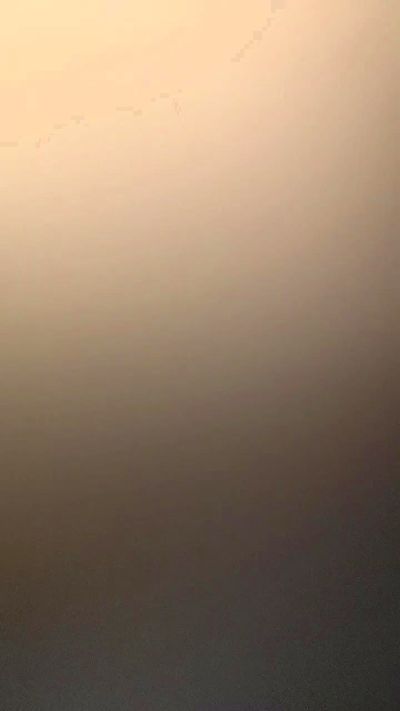 Porcello2023's Profile