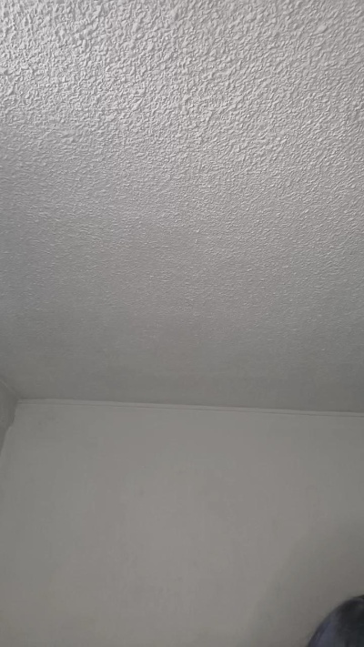 Pxnchi1999's Profile