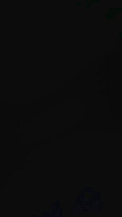 Siema55's Profile