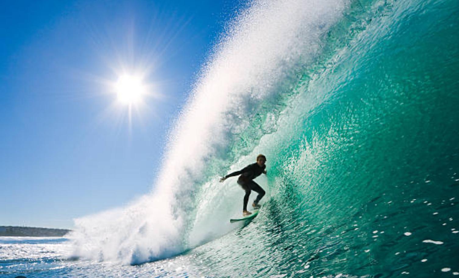 Surf499's Profile