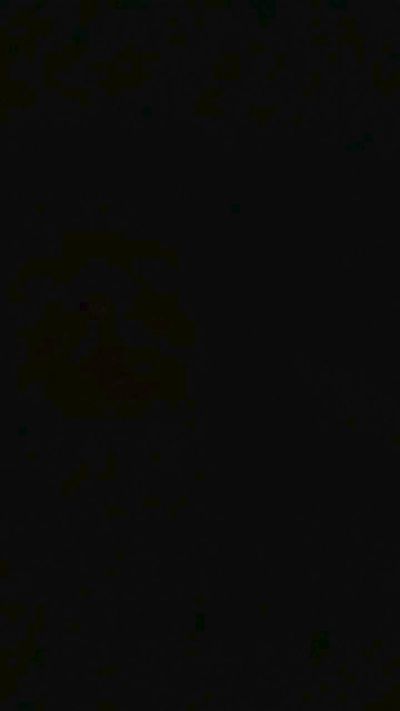 Xray1981's Profile
