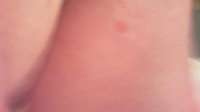 almier_porn's Profile