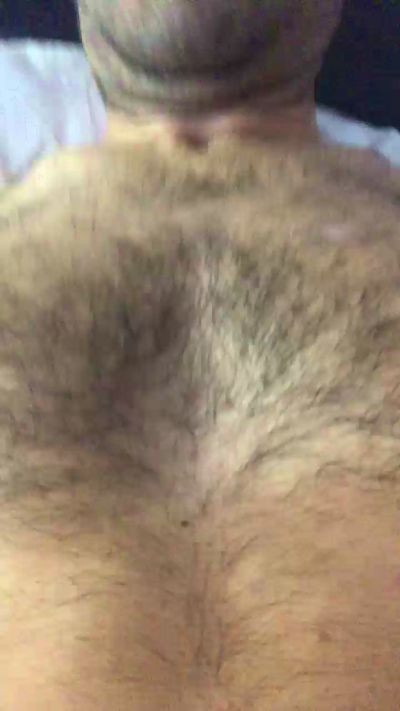 ayazcan1's Profile