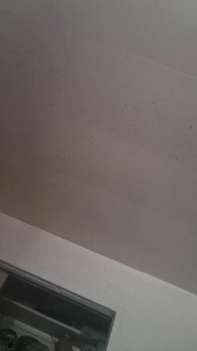 bigwise's Profile