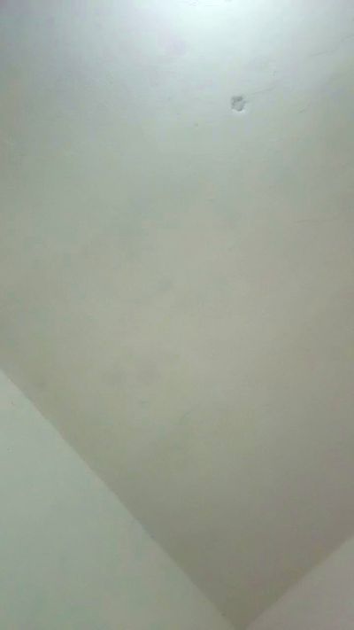 caio1953's Profile