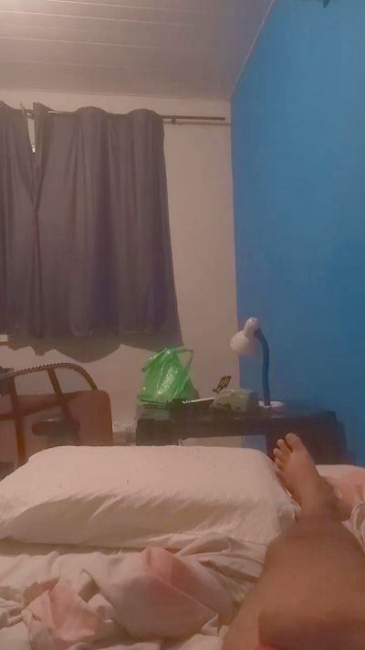 cavalinho4's Profile