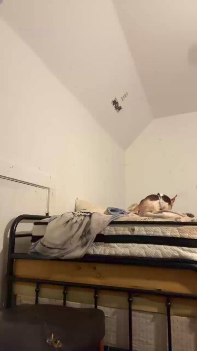 danniqsexy's Profile