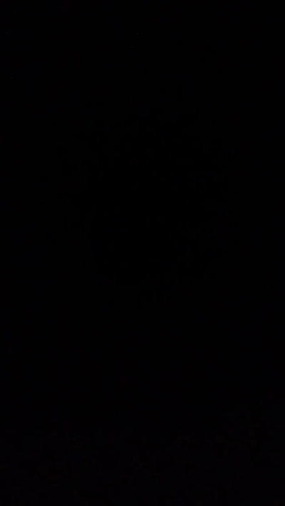 filippofil2's Profile
