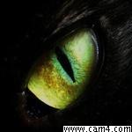geforce3's Profile