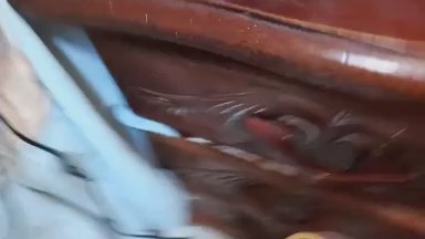 horny_men2's Profile