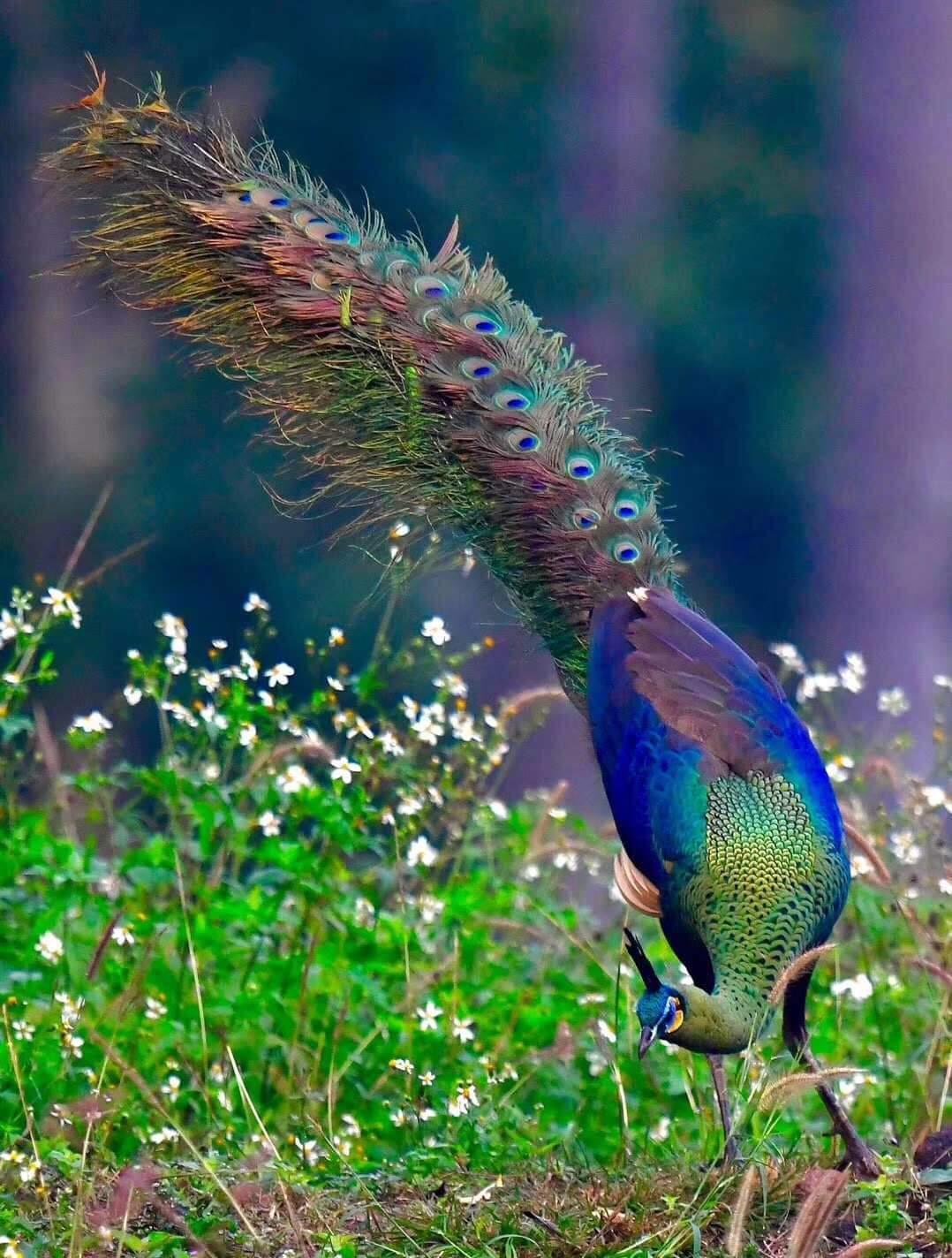 hotttt40's Profile