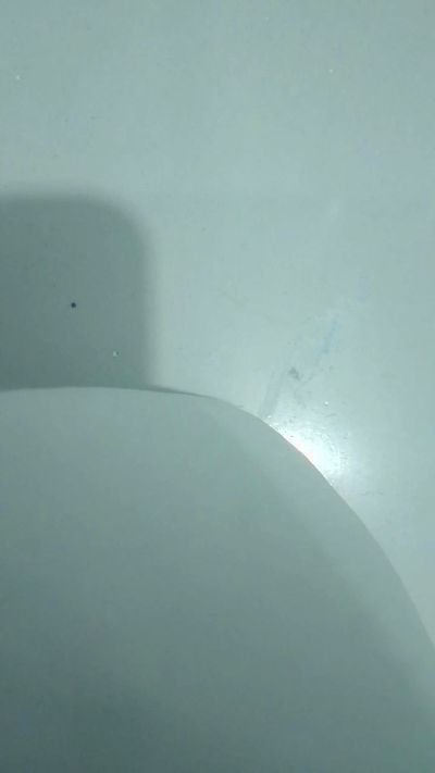 luis5322's Profile