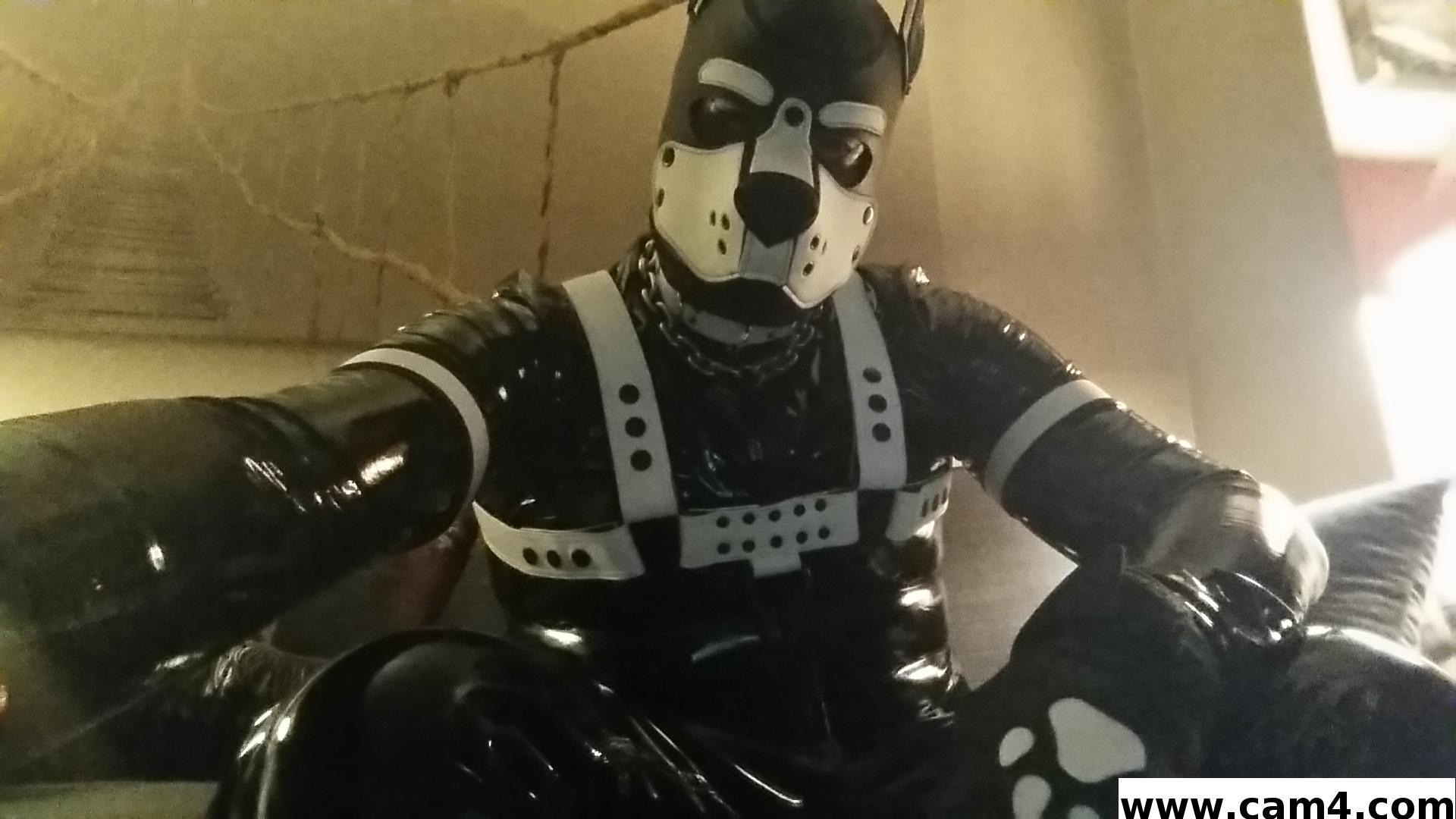 rubberfly's Profile
