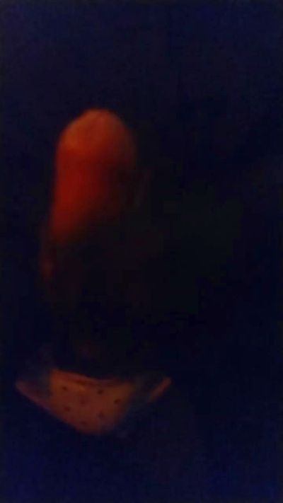 sugarladri's Profile