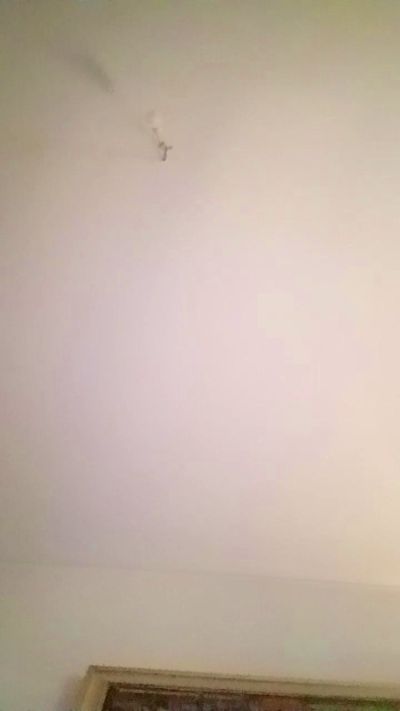 totoporno88's Profile