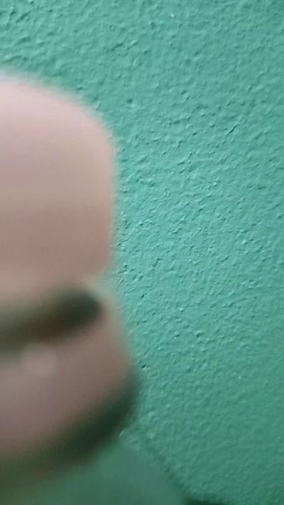 veguetaluis's Profile