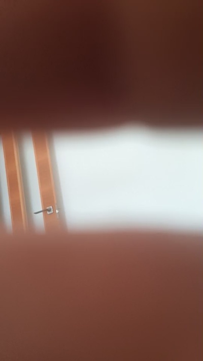 xulo40's Profile